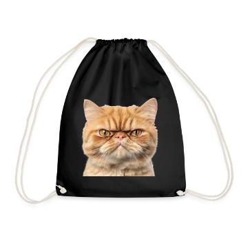 Grumpy Ginger Cat Studio Portrait - Drawstring Bag - black - Front