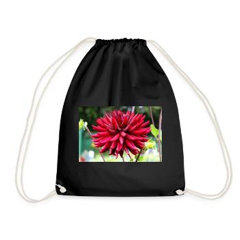 Dahlia Red Blossom ,Flower - Drawstring Bag - black - Front
