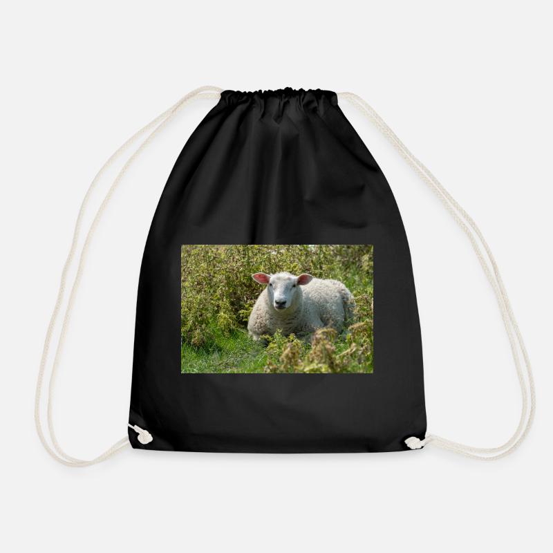 Sheep Lying in the Grass - Poster - Drawstring Bag - black