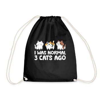Ich war normal vor 3 Katzen Lustige Katze Mama - Turnbeutel - Schwarz - Vorne
