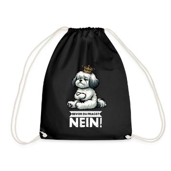 Avant que vous ne demandiez, aucun propriétaire havanais - Sac de sport léger - noir - Devant