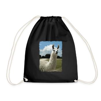 Alpaca, Llama, Cute Animals, Retro, Gift - Drawstring Bag - black - Front