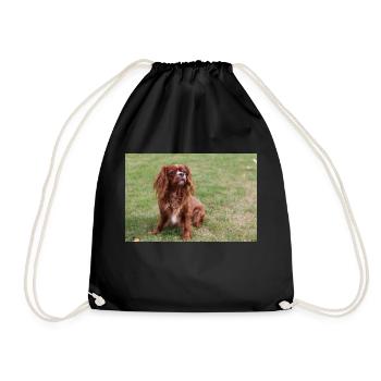 Cavalier King Charles Spaniel assis - Sac de sport léger - noir - Devant