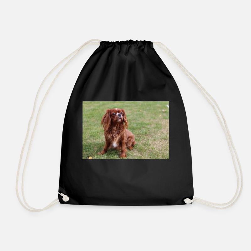cavalier king charles spaniel sitting - Drawstring Bag - black