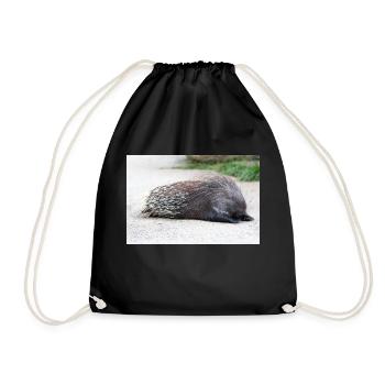 Porcupine als Porky (in german Stachelschwein) Hys - Drawstring Bag - black - Front