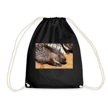 Porcupine als Porky Stachelschwein Hystricidae - Drawstring Bag - black - Front