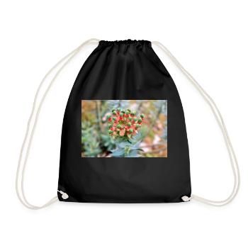 blooming colorful Wolfsmilch (Euphorbia) flower - Drawstring Bag - black - Front