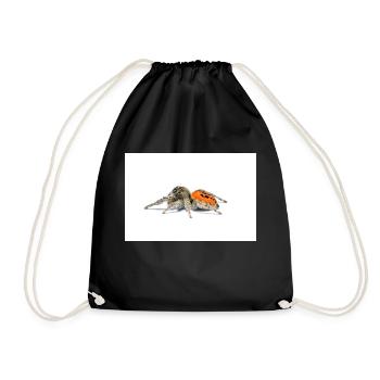 Springspinne Phidippus texanus jumping spider - Drawstring Bag - black - Front