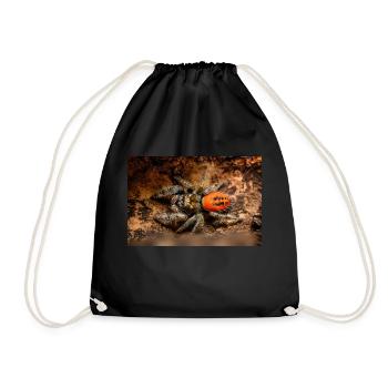 Springspinne Phidippus texanus jumping spider - Drawstring Bag - black - Front