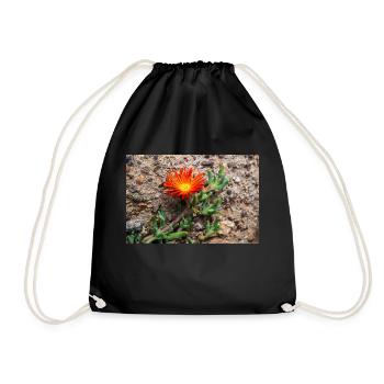 trailing Iceplant hardy iceplant pink carp - Drawstring Bag - black - Front