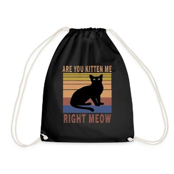 Funny Are You Kitten Me Right Meow Vintage Cat Jok - Sac de sport léger - noir - Devant