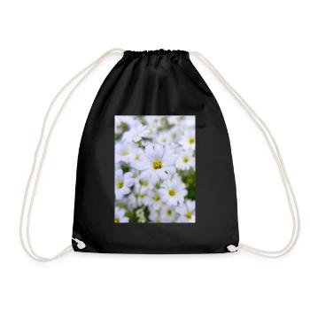 snow-in-summer also woolly thistle Hornkraut - Drawstring Bag - black - Front