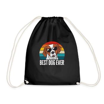 French Brittany Spaniel Epagneul Breton Gift - Drawstring Bag - black - Front