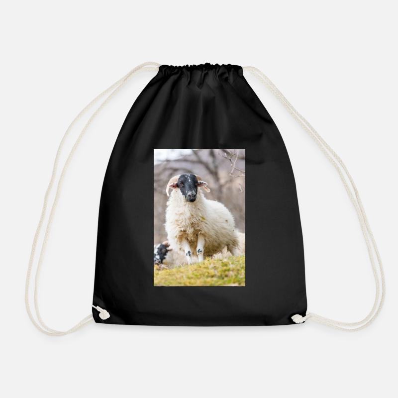 A Highland sheep with black a head in the Scottish - Turnbeutel - Schwarz