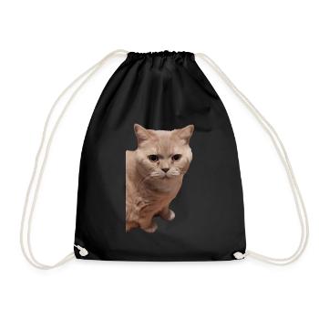 british shorthair cat cats - Drawstring Bag - black - Front