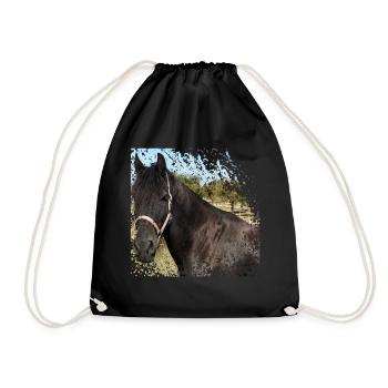 Who does not want to ride on this horse? - Drawstring Bag - black - Front