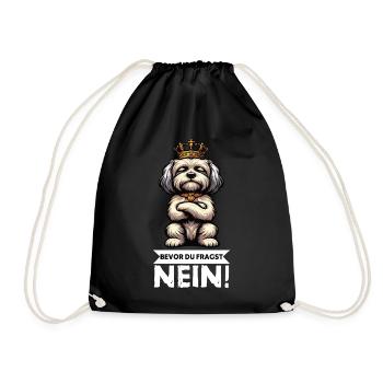 Avant que vous ne demandiez, aucun propriétaire havanais - Sac de sport léger - noir - Devant