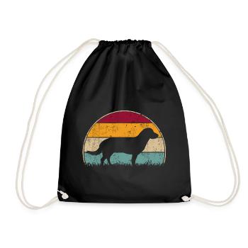 Entlebucher Mountain Dog Vintage Rétro Cadeau - Sac de sport léger - noir - Devant