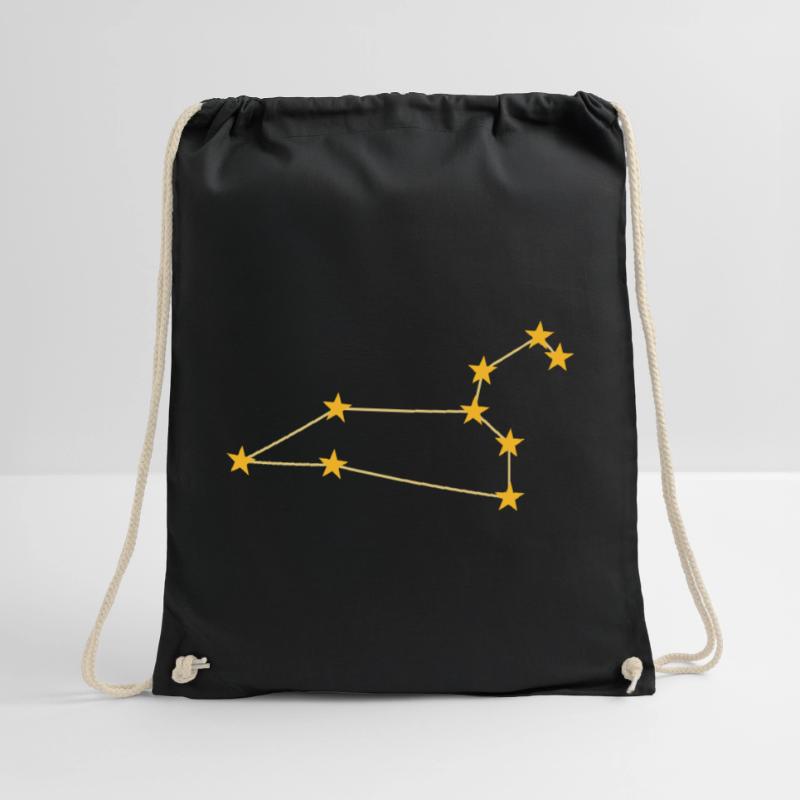 Constellation Leo Sac de sport léger