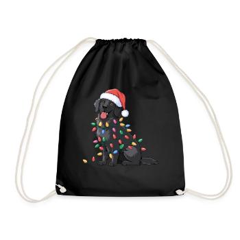 Retriever à poil plat Noël lumières de Noël chiens - Sac de sport léger - noir - Devant