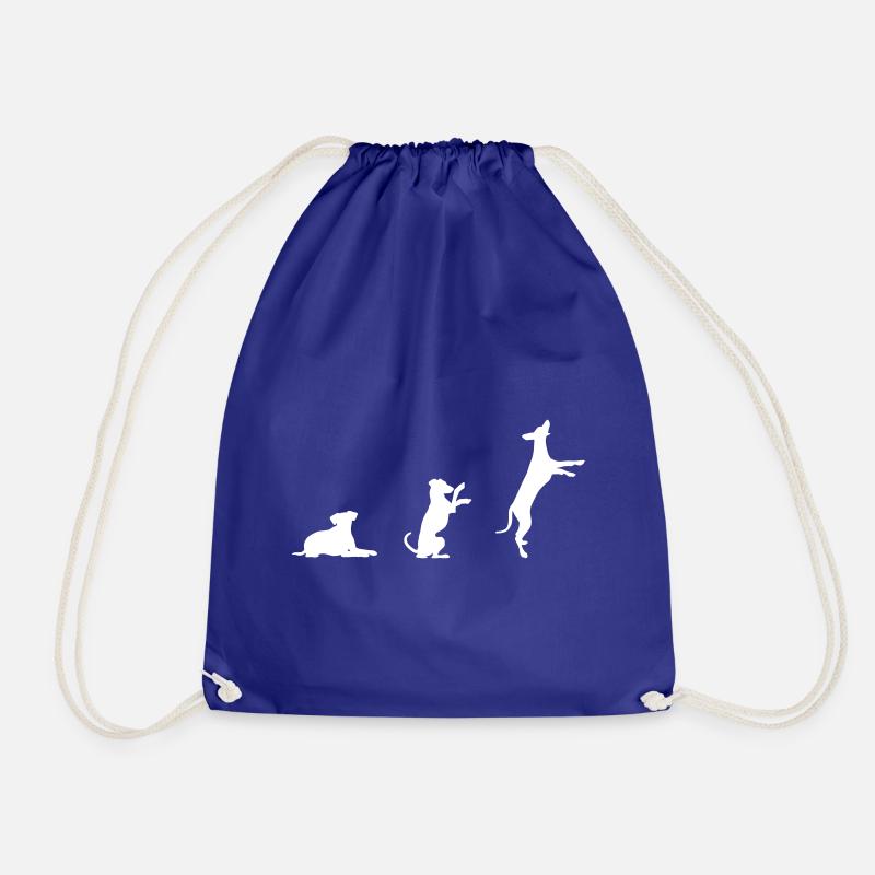 Evolution Of The German Pinscher Dog - Drawstring Bag - royal blue
