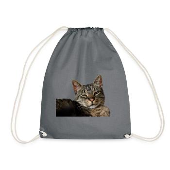 Cat Kitten - Drawstring Bag - grey - Front
