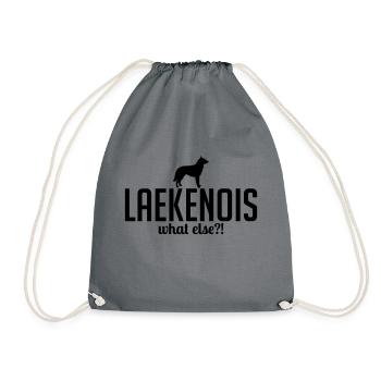 LAEKENOIS what else - Drawstring Bag - grey - Front