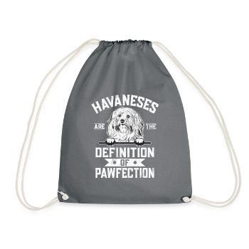 Cadeaux pour les amoureux des chiens bichons havanais - Sac de sport léger - gris - Devant