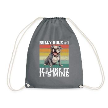 Cadeaux American Bully - Sac de sport léger - gris - Devant