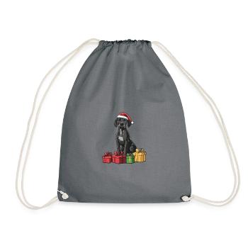Chiens Dogues Allemands Cadeaux de Noël - Sac de sport léger - gris - Devant