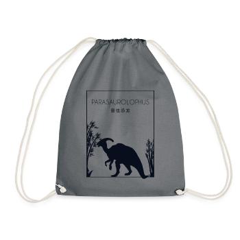 Parasaurolophus Chinese Hanzi Dinosaur Lover - Drawstring Bag - grey - Front