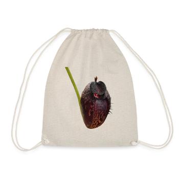 Nepenthes aristolochioides 02 - Turnbeutel - Natur - Vorne