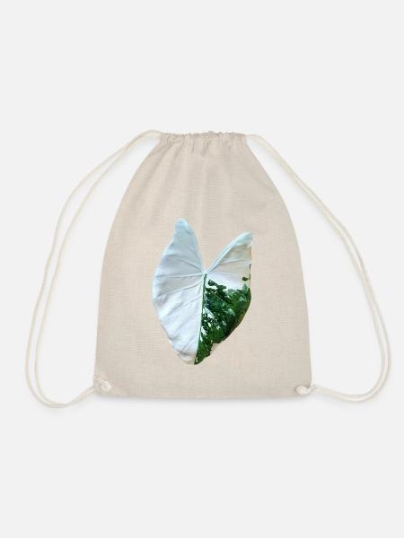 alocasia macrorrhizos variegata _ نبات ألوكاسيا - Turnbeutel - Natur