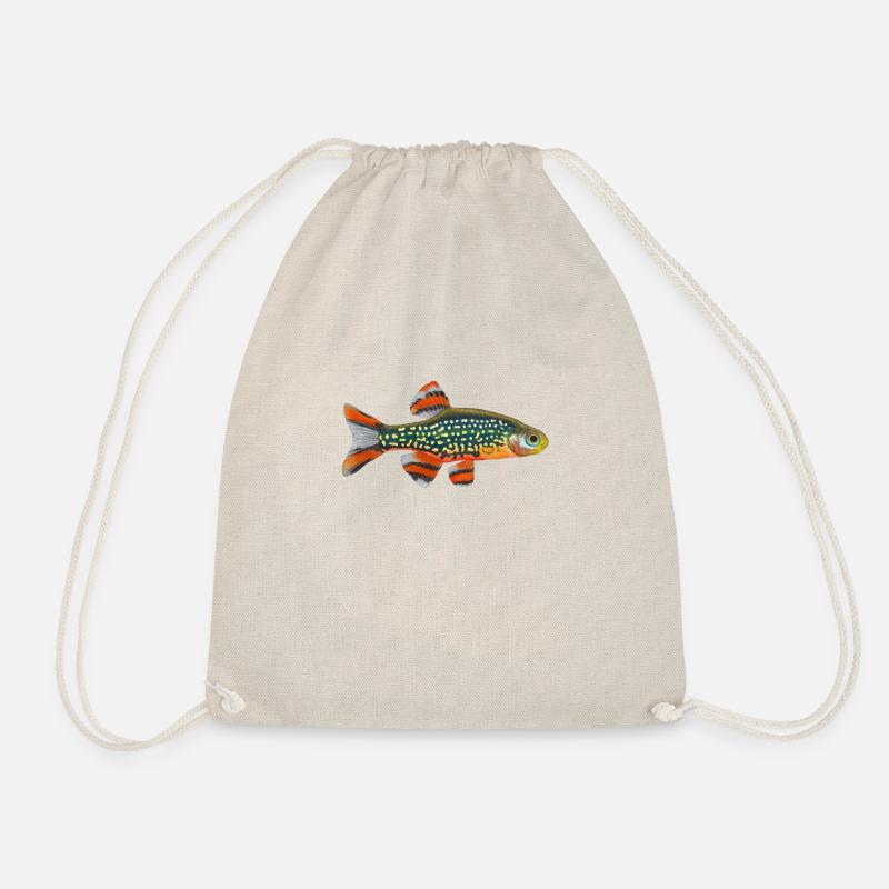 Galaxy Rasbora , Celestichthys margaritatus, danio - Turnbeutel - Natur