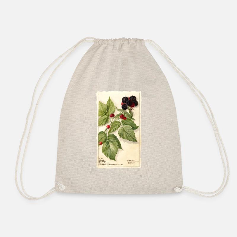 brombeeren garten rot beeren illustration vintage - Turnbeutel - Natur