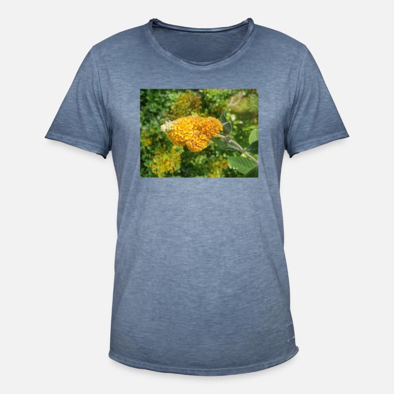 Buddleia, Schmetterlingsstrauch oder Sommerflieder 'Sungold' - Männer Vintage T-Shirt - Vintage Denim
