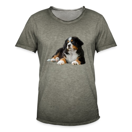 Berner Sennenhund - Männer Vintage T-Shirt