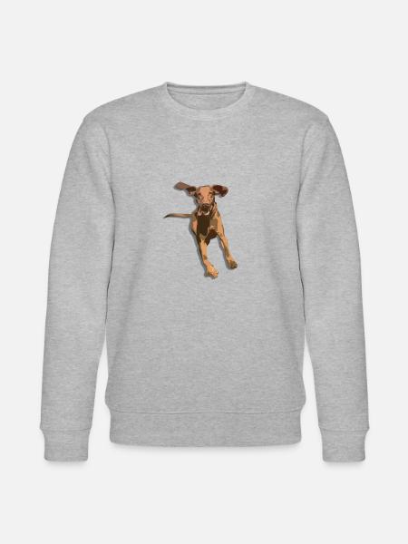 viszla - Stanley/Stella CHANGER Unisex Organic Sweatshirt - heather grey