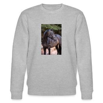 schönes schwarzes Pferd, Lakota vom Regenbogenhof, - Stanley/Stella Unisex Bio-Sweatshirt CHANGER  - Grau meliert - Vorne - Nik (191cm) & Marisol (170cm)