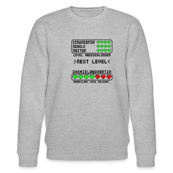 Chemielaborantin Ausbildung Beginn Baby Mädchen - Stanley/Stella Unisex Bio-Sweatshirt CHANGER  - Grau meliert - Vorne - Nik (191cm) & Marisol (170cm)