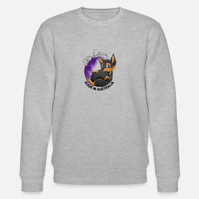 Kelpie Galaxie - Noir Feu - Sweat bio CHANGER Stanley/Stella Unisexe - gris chiné