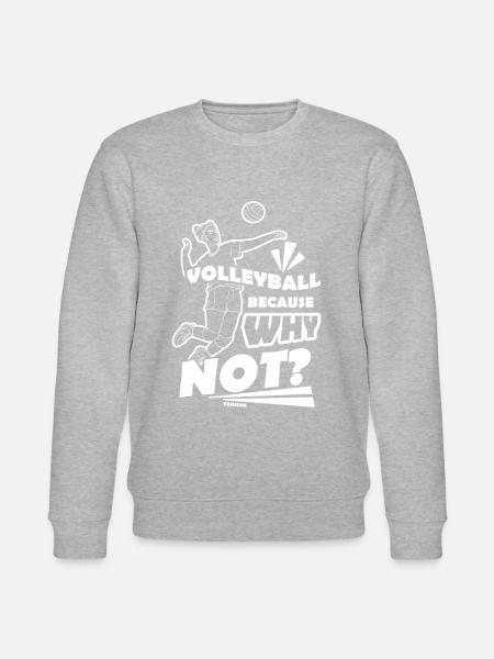 Volley-ball - Sweat bio CHANGER Stanley/Stella Unisexe - gris chiné