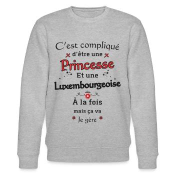 Princesse Luxembourgeoise - Sweat bio CHANGER Stanley/Stella Unisexe - gris chiné - Devant - Nik (191cm) & Marisol (170cm)