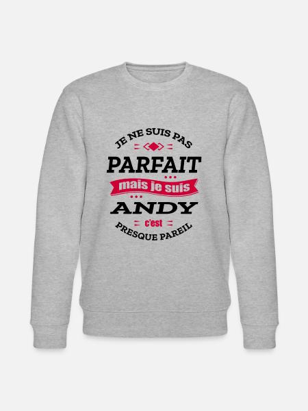 ANDY PARFAIT - PRENOM ANDY - Sweat bio CHANGER Stanley/Stella Unisexe - gris chiné