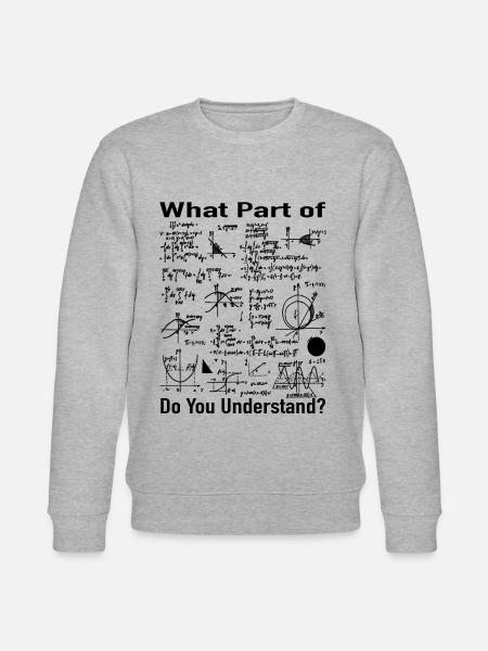 Regalo insegnante di matematica - Formule matematiche - Felpa ecologica unisex CHANGER di Stanley/Stella - grigio melange