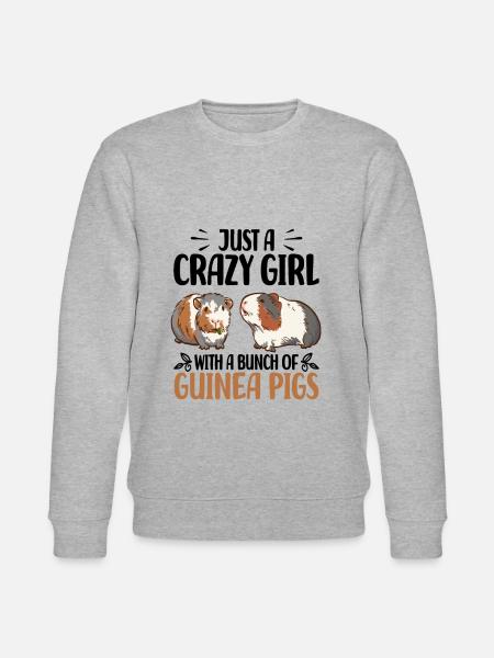 Cobaye - Sweat bio CHANGER Stanley/Stella Unisexe - gris chiné