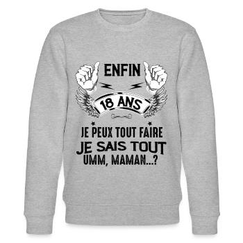 Enfin 18 ans Humour Fils Ou Fille Anniversaire - Sweat bio CHANGER Stanley/Stella Unisexe - gris chiné - Devant - Nik (191cm) & Marisol (170cm)