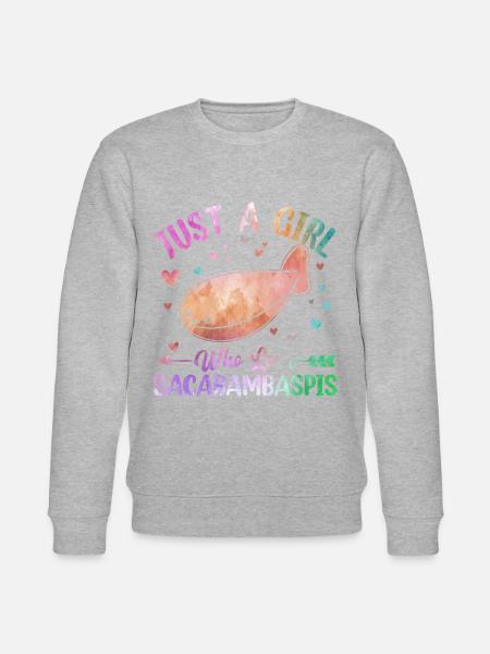 Fish Meme - Stanley/Stella CHANGER Unisex Organic Sweatshirt - heather grey
