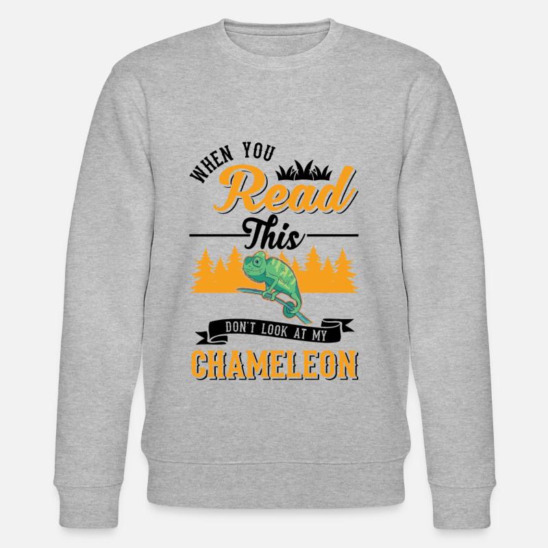 Chameleon Cadeau Caméléon - Sweat bio CHANGER Stanley/Stella Unisexe - gris chiné