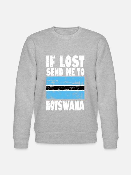 Drapeau du Botswana - Sweat bio CHANGER Stanley/Stella Unisexe - 
